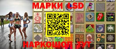 дживик Кандалакша