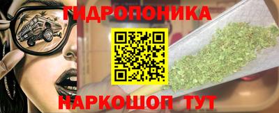дживик Кандалакша