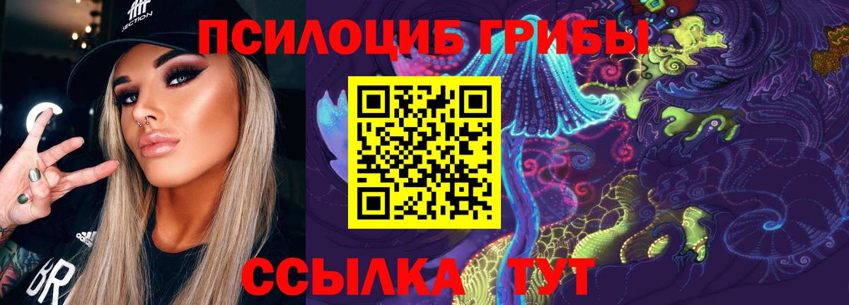 Хасавюрт  Псилоцибиновые грибы ЛСД  Вход с VPN 